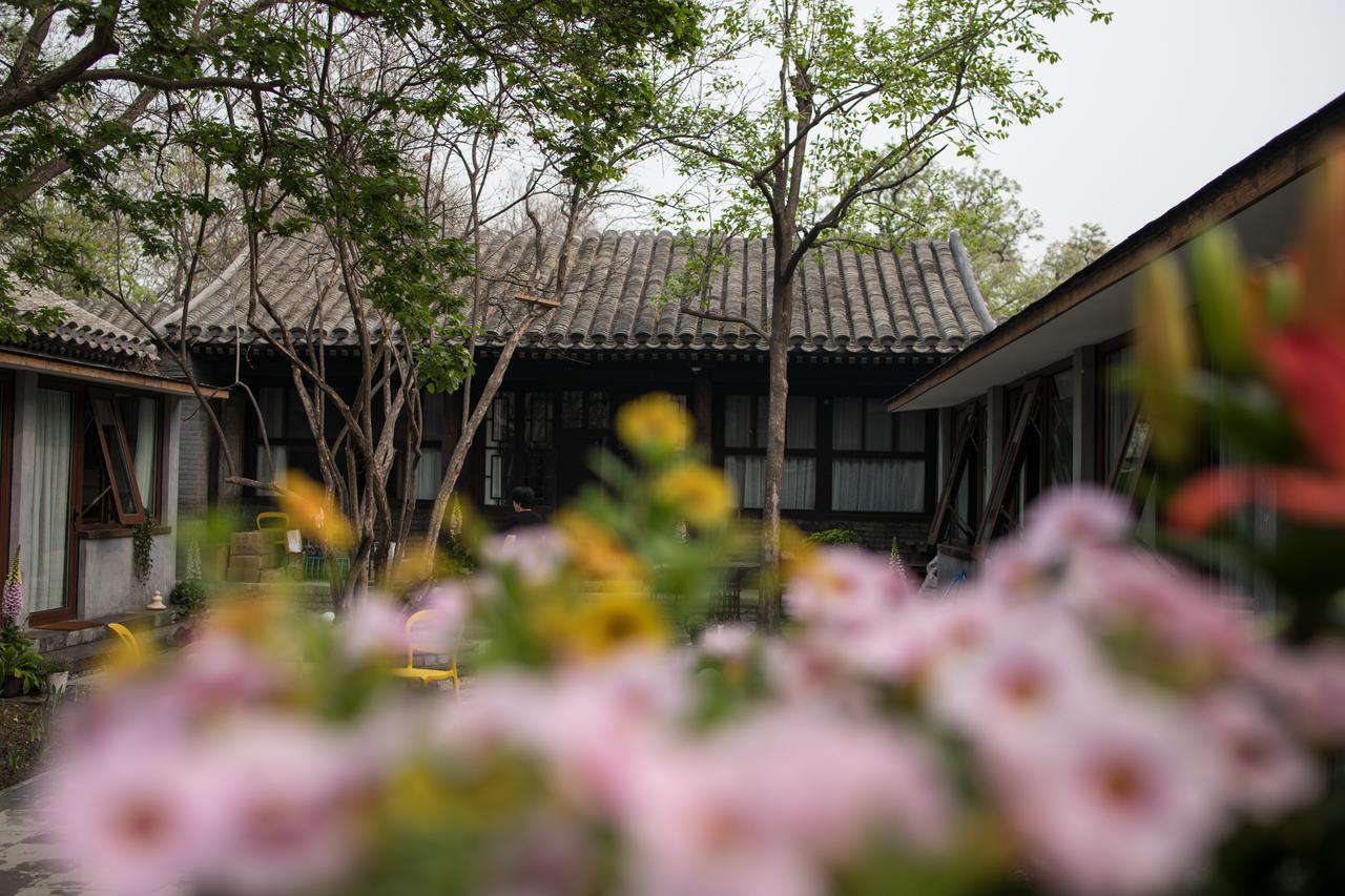 Courtyard Guesthouse, Peking Exteriér fotografie