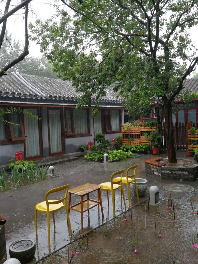 Courtyard Guesthouse, Peking Exteriér fotografie